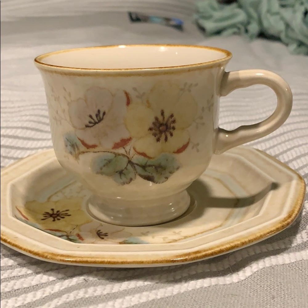 Mikasa Avante teacup and saucer